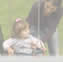 Court Child Support Unit Courtroom Schedule